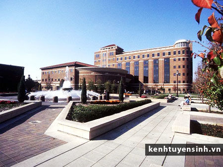 Đào Tạo Tại Trường Purdue University